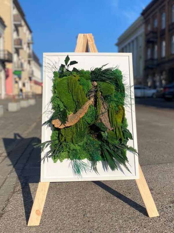 ramka z roślinami stabilizowanymi